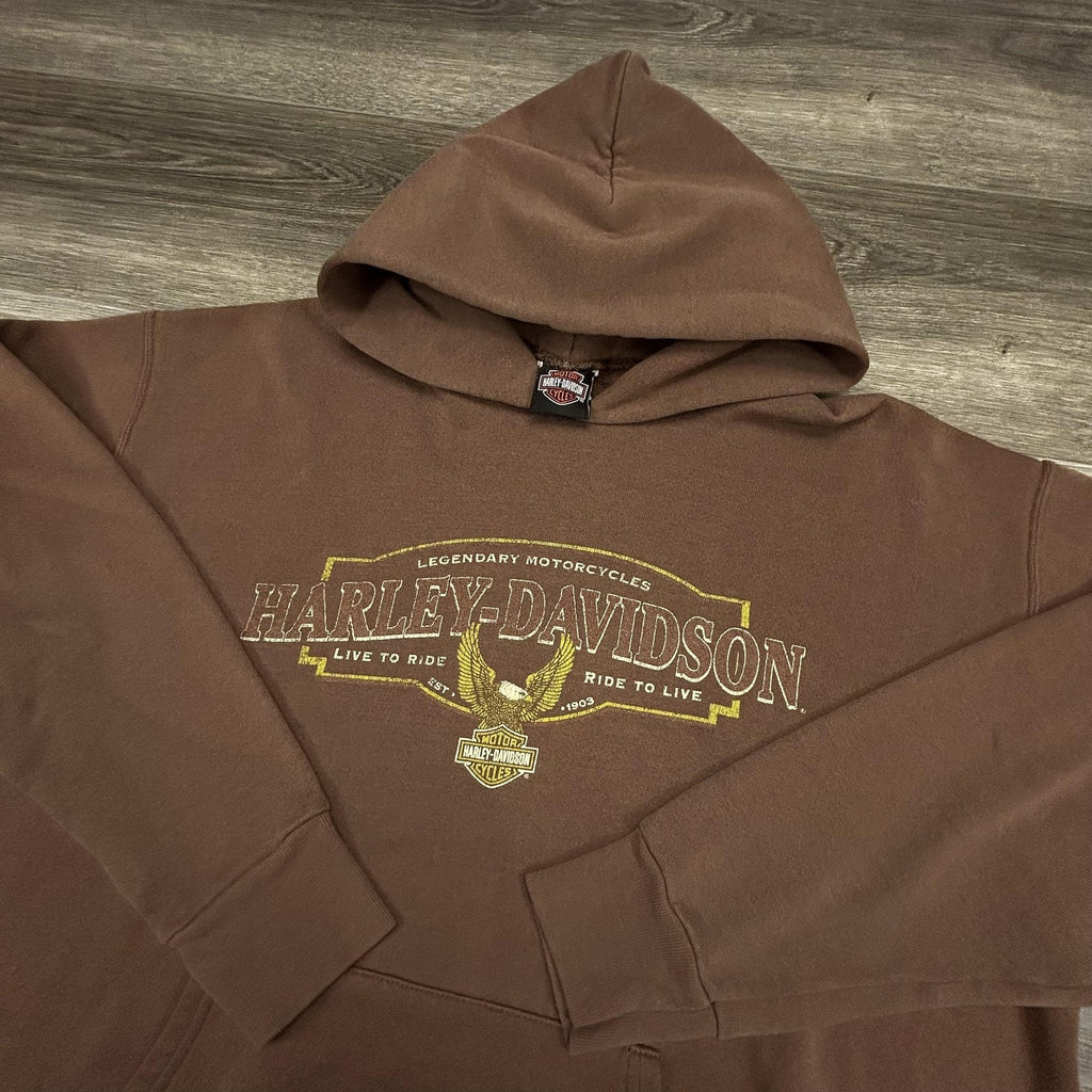 Vintage Harley-Davidson Hoodie Mens XL Brown Fleece Pullover Eagle Graphic Y2K