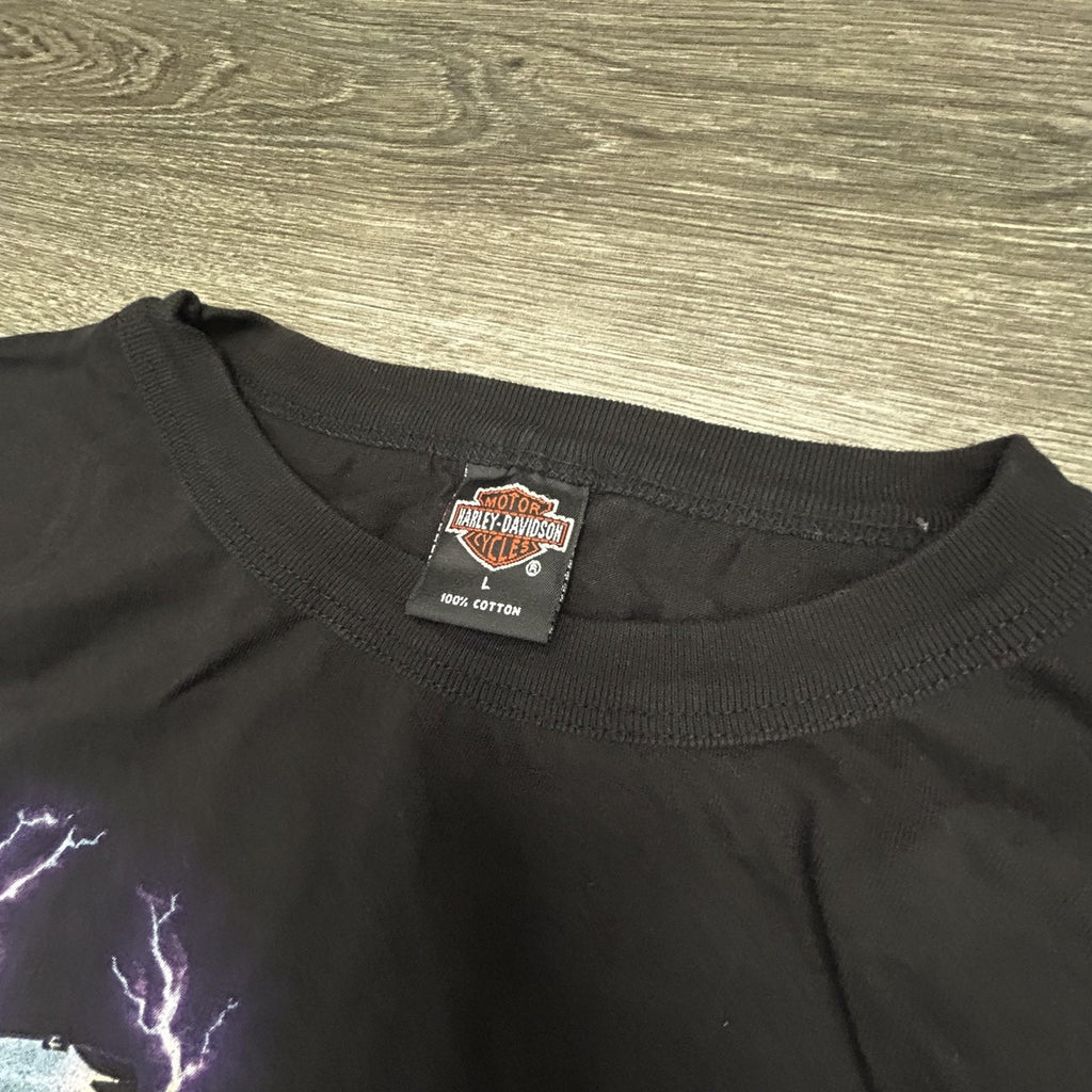 Vintage Harley Davidson Sleeveless Shirt Mens Large Purple Electric Engine 1995