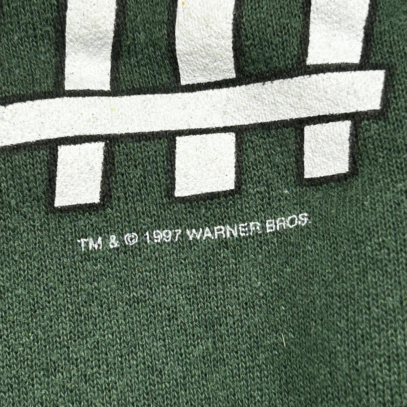 Vintage Looney Tunes Tweety Sweatshirt Mens XL Green I Can Only Please 90s