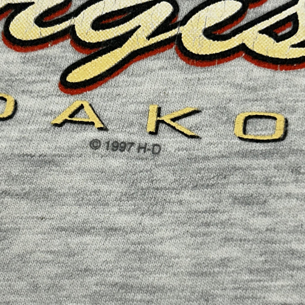 Vintage Harley Davidson Shirt Mens Large Gray Sturgis Eagle Skull 1997 90s USA