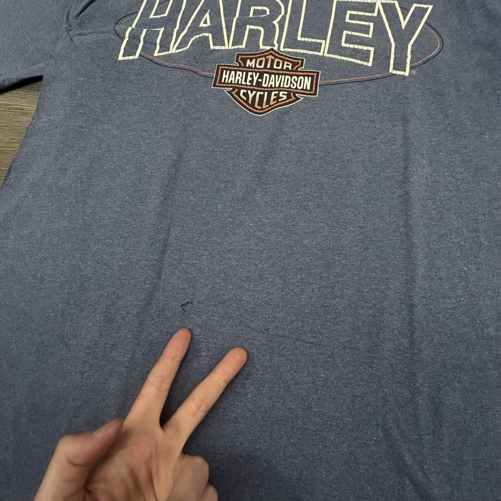 Vintage Harley Davidson Shirt Mens Large Blue Eagle Chrome SIngle Stitch 90s USA